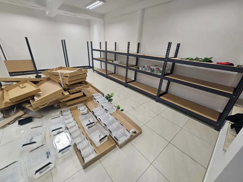 20250909_212607-1024x768 Blog