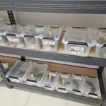 20250909_214915-150x150 DragonBerg – zaczynamy nową przygodę!