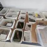 20250914_094521-150x150 DragonBerg wyrusza w Europę – wrześniowe Hamm 2025!