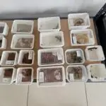 20250914_094529-150x150 DragonBerg wyrusza w Europę – wrześniowe Hamm 2025!