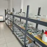 20250914_104803-150x150 DragonBerg wyrusza w Europę – wrześniowe Hamm 2025!