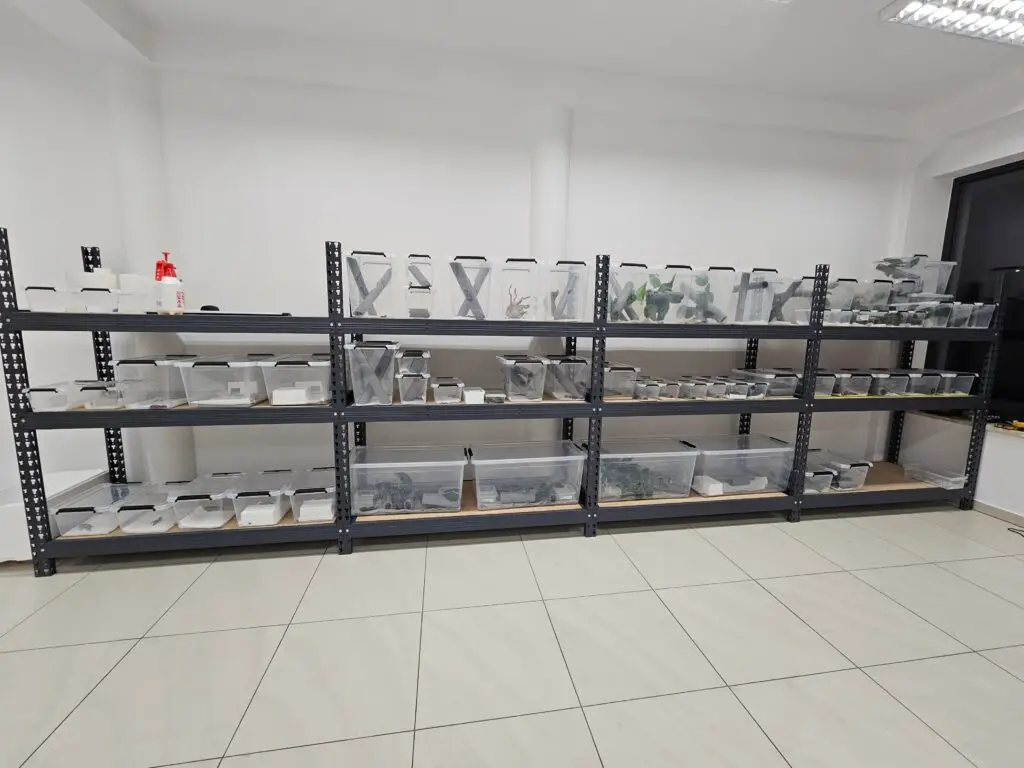 20250914_195046-1024x768 Blog