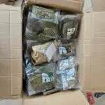 20250919_113211-150x150 DragonBerg podbija czeską giełdę - Ostrava 2025