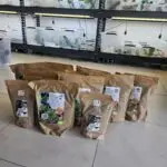 20250919_114509-150x150 DragonBerg podbija czeską giełdę - Ostrava 2025