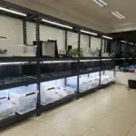 20251119_185753-150x150 Kolejna ekspedycja na Hamm - grudzień 2025