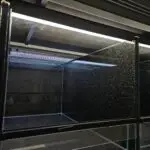 20251119_1859200-150x150 Kolejna ekspedycja na Hamm - grudzień 2025