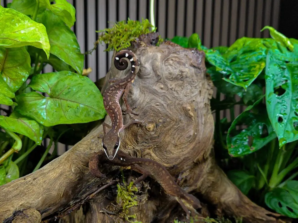 20251209_070247-1-1024x768 Gadopedia