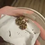 20251214_0336540-150x150 Kolejna ekspedycja na Hamm - grudzień 2025