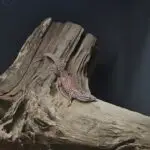 20251215_122230-150x150 Kolejna ekspedycja na Hamm - grudzień 2025