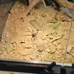 20251216_101715-150x150 Kolejna ekspedycja na Hamm - grudzień 2025