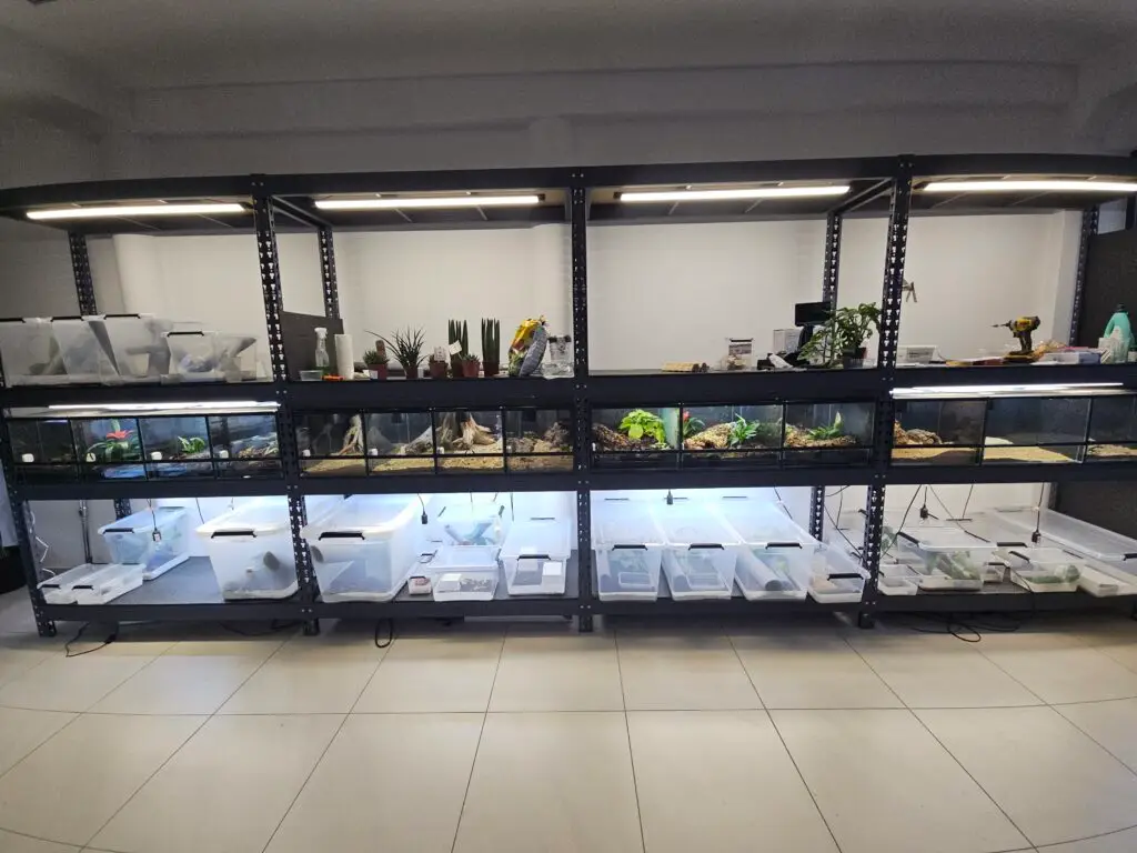 20251219_144701-1024x768 Blog