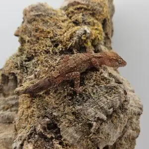 20260106_120702-300x300 Sklep