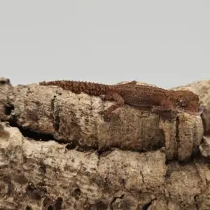 20260106_120920-300x300 Sklep