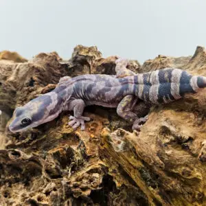 20260106_130427-300x300 Sklep