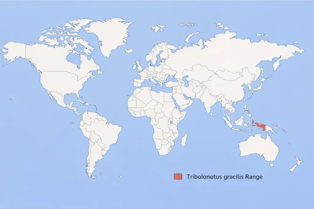ChatGPT-Image-5-sty-2026-15_49_45-1024x683 Tribolonotus gracilis