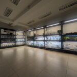 PXL_20260103_152421442-150x150 Kolejna ekspedycja na Hamm - grudzień 2025