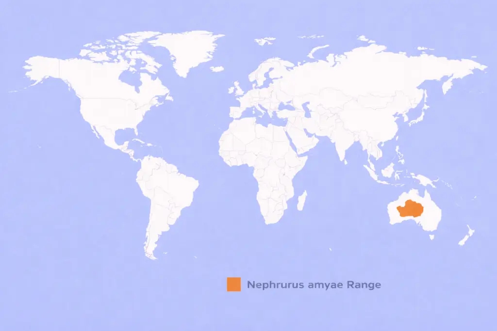 ChatGPT-Image-26-lut-2026-11_09_54-1024x683 Nephrurus amyae