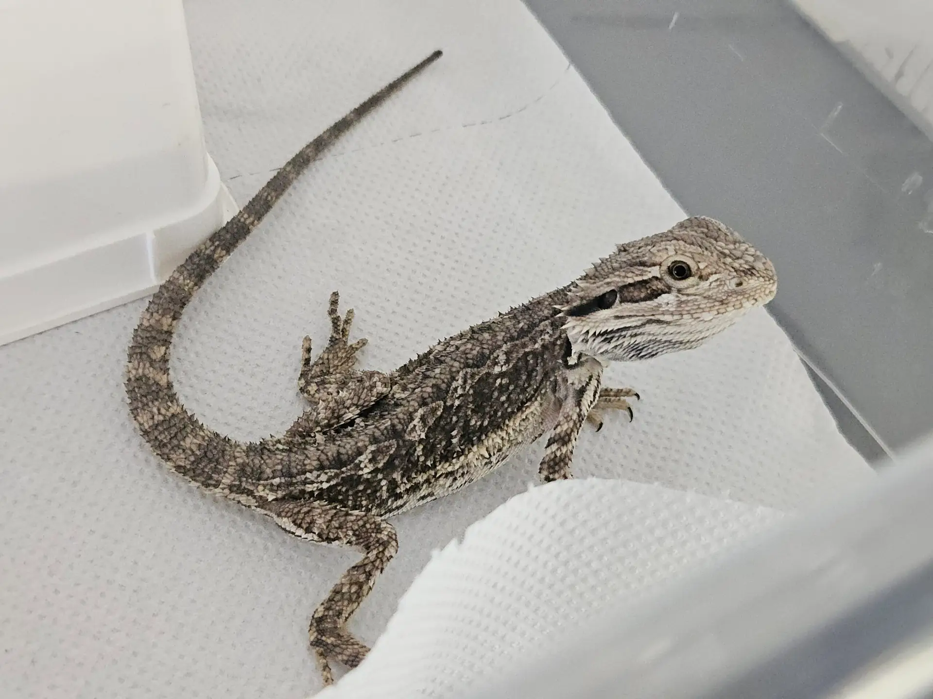 20260315_153353-1-scaled Strona Główna