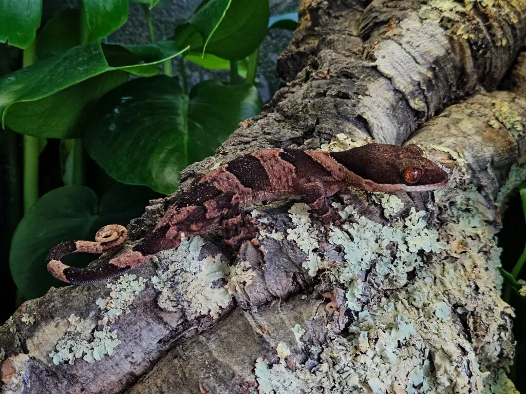 20260326_0818160-1024x768 Gadopedia